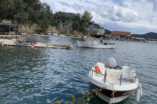 Boynuz ağacı Cafe Pension - Resim 14