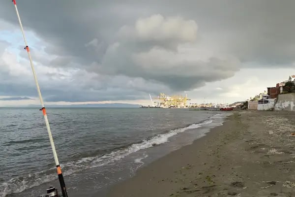 Asyaport Liman A.Ş. - Resim 5
