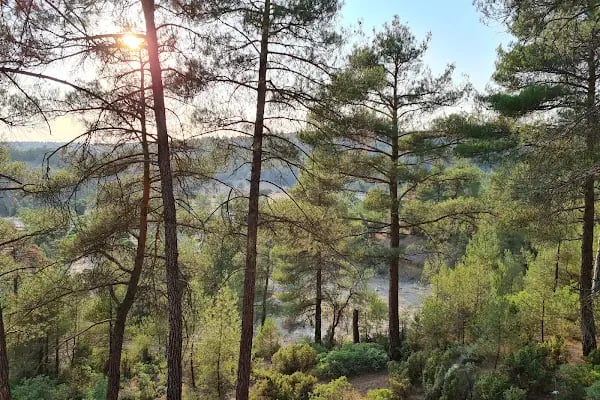 Harmancık Eko Turizm Tesisleri - Resim 9
