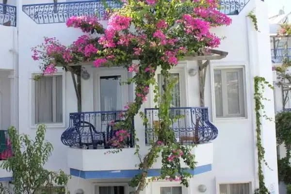 Bodrum Serhan Hotel - Resim 4