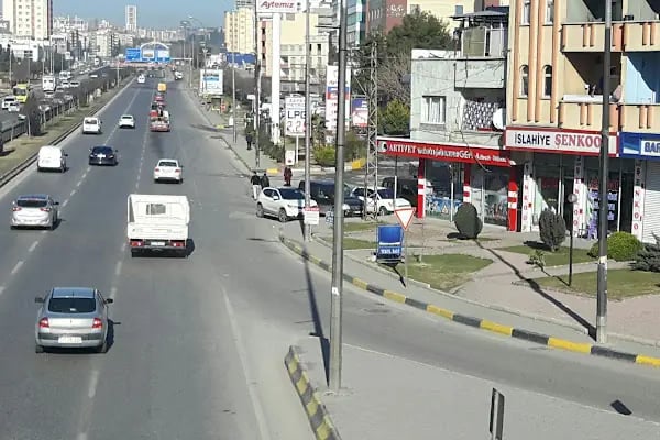 Ares Veteriner Kliniği - Resim 3