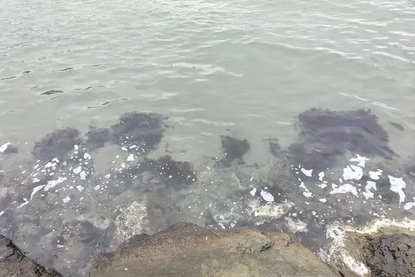 Yalıncak Belediyesi Aile Plajı - Resim 18