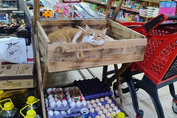 Seç Market - Çukurova Güneş - Resim 3