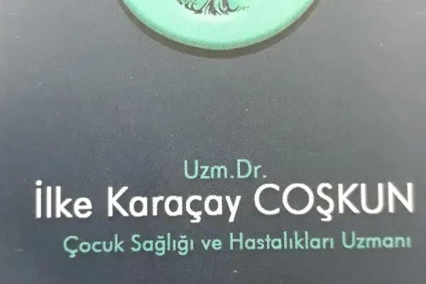 AĞAÇLI SARNIÇ EVLERİ - Resim 4