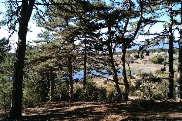Karagöl Milli Parkı (Tabiat Parkı) - Resim 9