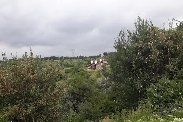 Karagöl Milli Parkı (Tabiat Parkı) - Resim 15