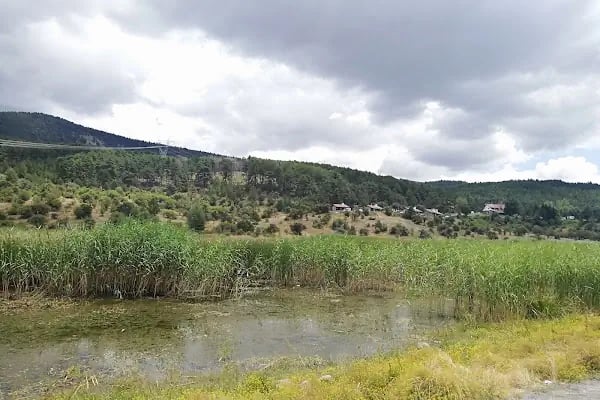 Karagöl Milli Parkı (Tabiat Parkı) - Resim 3