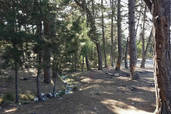 Karagöl Milli Parkı (Tabiat Parkı) - Resim 13