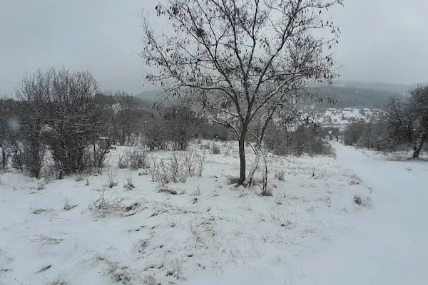 Karagöl Milli Parkı (Tabiat Parkı) - Resim 16