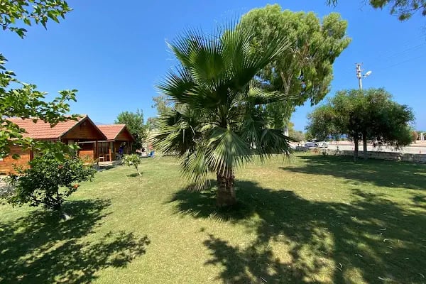 Antalya Demre Camping | Antalya Kamp Alanı | Sahil Camping - Resim 14