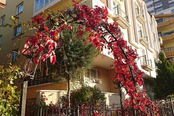 Atış - Akyurt Süpermarket - Resim 9