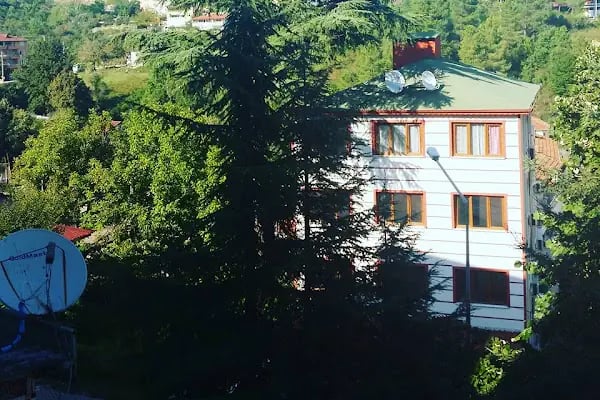 Termal Orkide Pansiyon - Resim 10