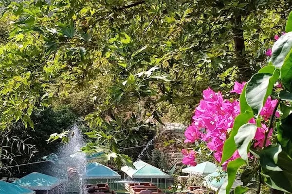 Dim Çayı Piknik Yeri - Resim 15