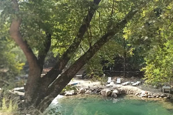 Dim Çayı Piknik Yeri - Resim 10