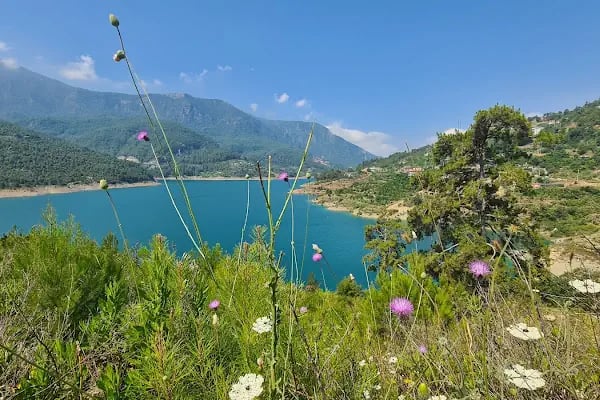 Dim Çayı Piknik Yeri - Resim 20
