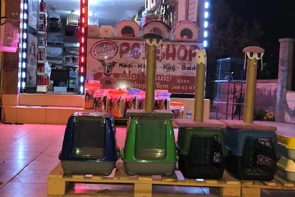 KAŞTAN PETSHOP - Resim 4