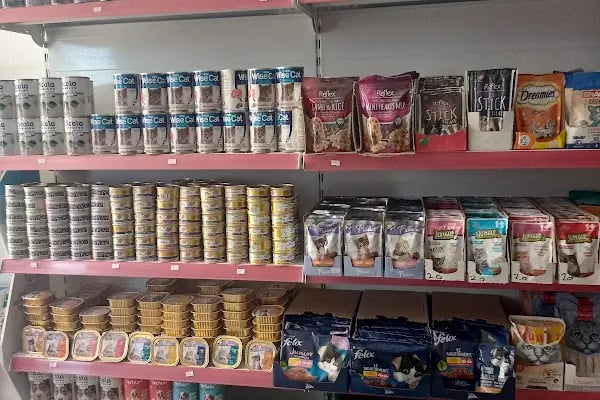 KAŞTAN PETSHOP - Resim 2