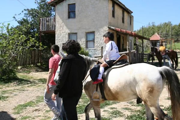 Manavgat At Çiftliği - Akseki Ali Pasa Konagi yeni At ciftlik - Resim 15