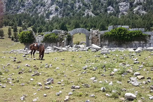 Manavgat At Çiftliği - Akseki Ali Pasa Konagi yeni At ciftlik - Resim 7