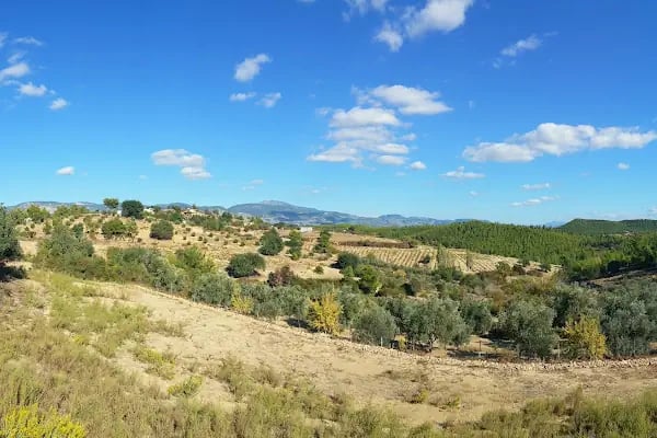 Manavgat At Çiftliği - Akseki Ali Pasa Konagi yeni At ciftlik - Resim 9