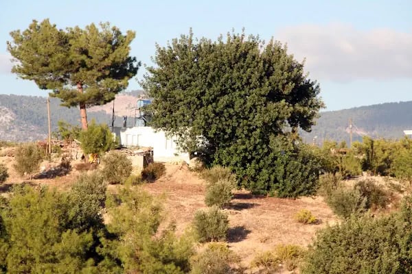 Manavgat At Çiftliği - Akseki Ali Pasa Konagi yeni At ciftlik - Resim 10