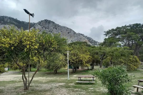 Sarısu Mesire Alanı - Resim 6