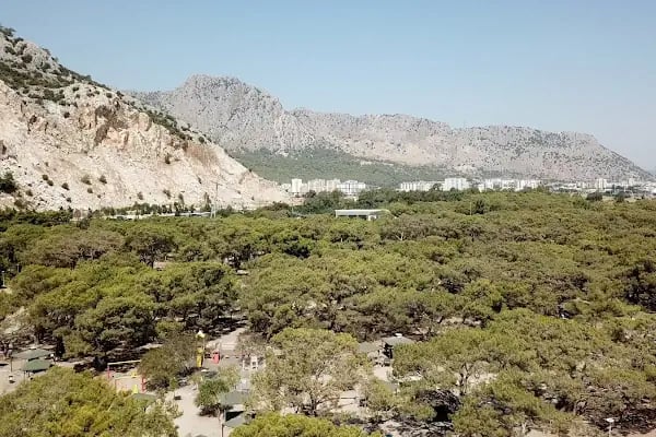 Sarısu Mesire Alanı - Resim 7