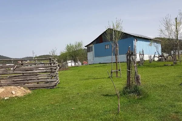 Çamlıdere Orman İşletme Müdürlüğü - Resim 15