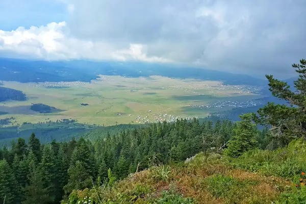 Çamlıdere Orman İşletme Müdürlüğü - Resim 18