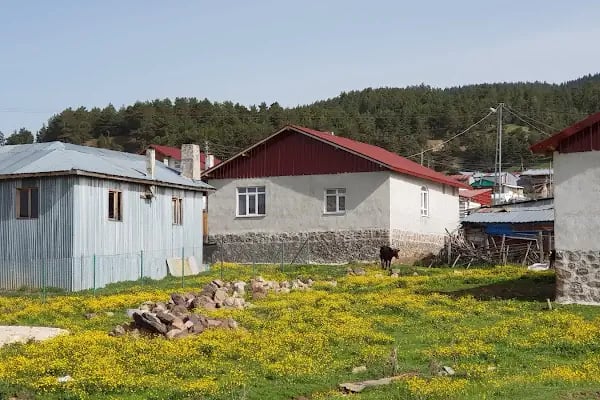 Çamlıdere Orman İşletme Müdürlüğü - Resim 6