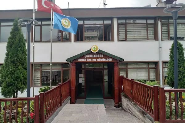 Çamlıdere Orman İşletme Müdürlüğü - Resim 4