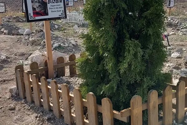 Ankara Pet Mezarlığı - Resim 5