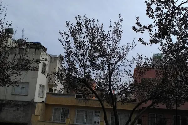 Barış Manço Parkı - Resim 16