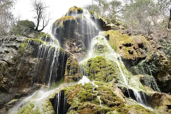 Sarıçalı Dağı Milli Parkı - Resim 16