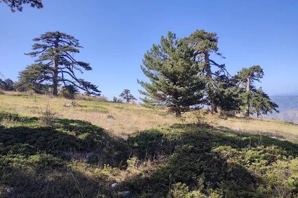 Sarıçalı Dağı Milli Parkı - Resim 3