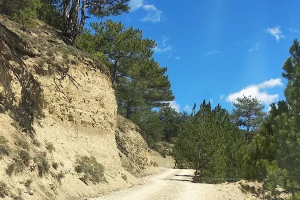 Sarıçalı Dağı Milli Parkı - Resim 19