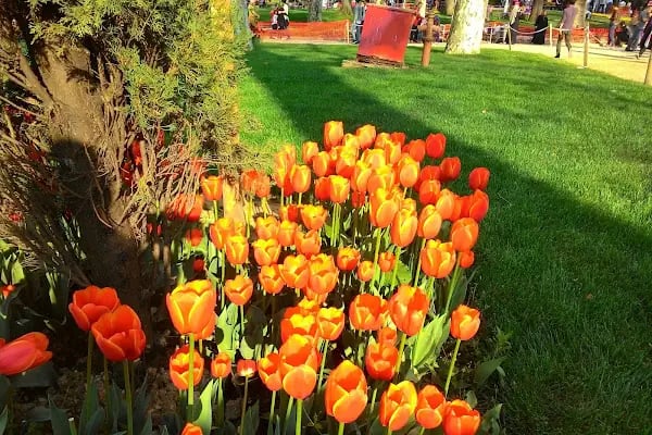 Şeyh Şamil Parkı - Resim 18