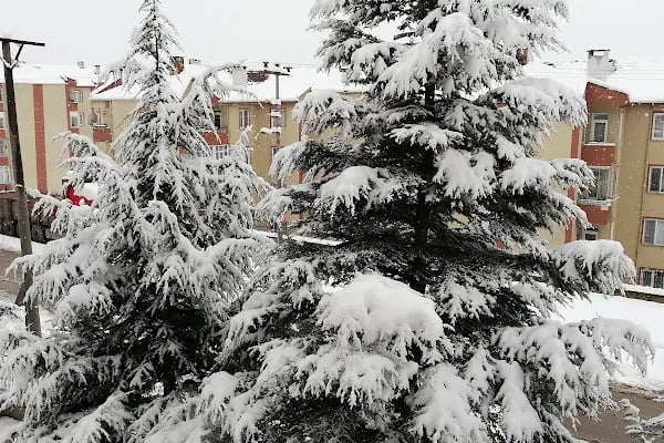 Seçkin Sitesi - Resim 3