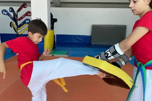 Bergama Erdal Önder Kapalı Spor Salonu - Resim 6