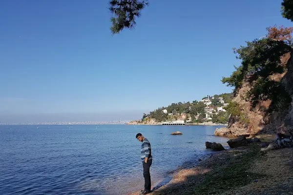Dilburnu Mesire Alanı - Resim 12