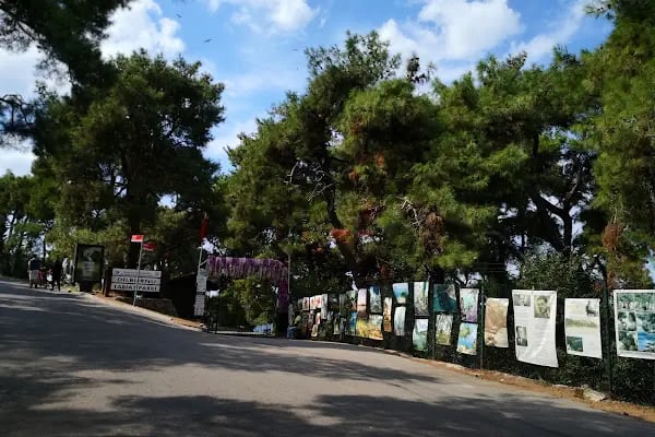 Dilburnu Mesire Alanı - Resim 8