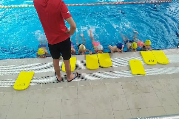 Muratpaşa Belediyesi Süleyman Erol Olimpik Yüzme Havuzu - Resim 11
