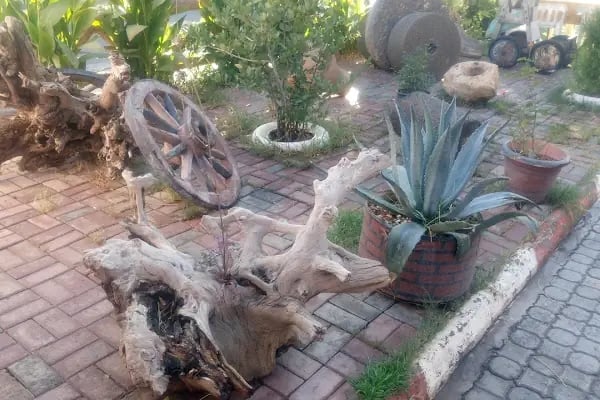 BEYZADE ŞARK ODALARI - Resim 18