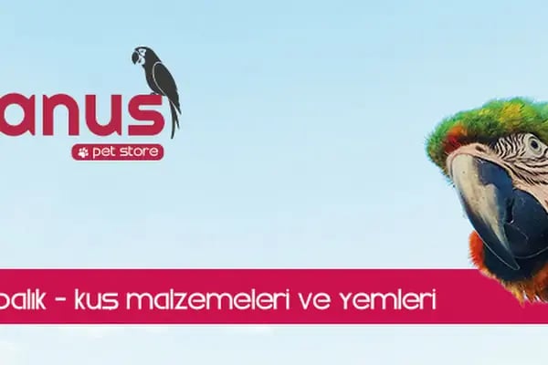 Gaziantep Okyanus Pet Store Akvaryum - Resim 15