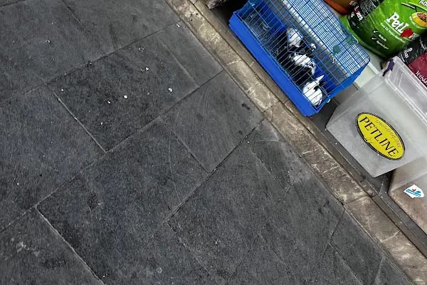 Gaziantep Okyanus Pet Store Akvaryum - Resim 18
