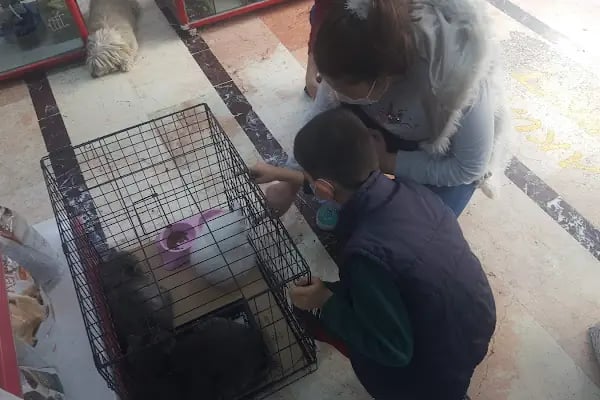 Gaziantep Okyanus Pet Store Akvaryum - Resim 20