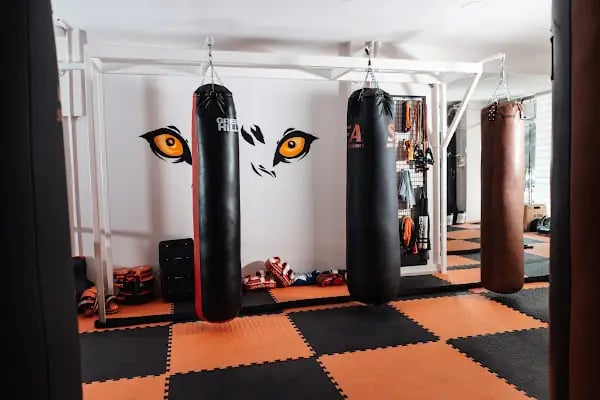 Solid Fight Academy - Muay Thai / Kick Boks / Boks - Resim 2