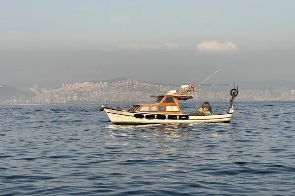 Mimoza Restaurant Kınalıada - Resim 6