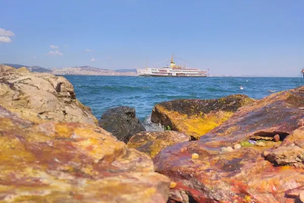 Mimoza Restaurant Kınalıada - Resim 13