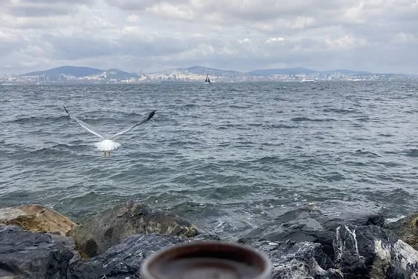 Mimoza Restaurant Kınalıada - Resim 10